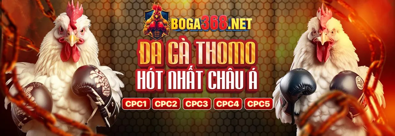 Sân đấu đá gà trực tuyến 79kin